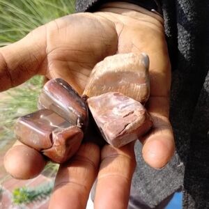 Natural Brown Petrified Wood Crystal Tumbled Stones